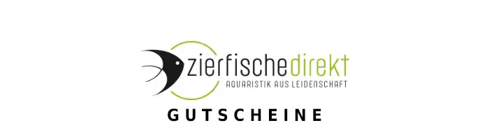 zierfische-direkt Gutschein Logo Oben