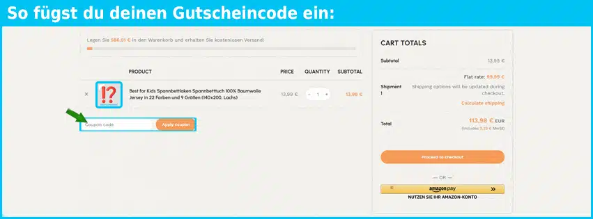 havenda Gutschein einfuegen und sparen blau