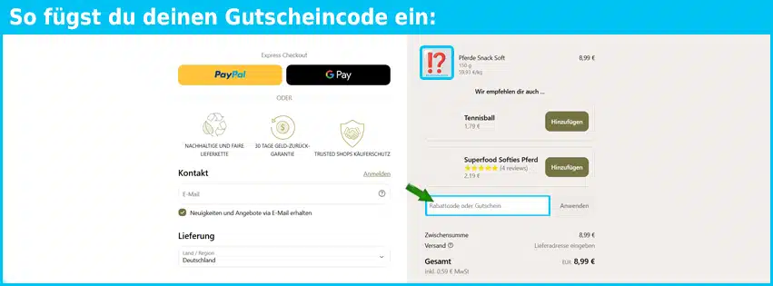 escapure Gutschein einfuegen und sparen blau