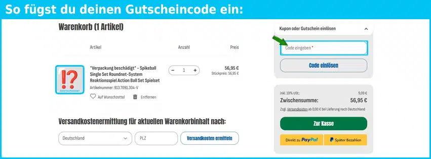 gokarli Gutschein einfuegen und sparen blau