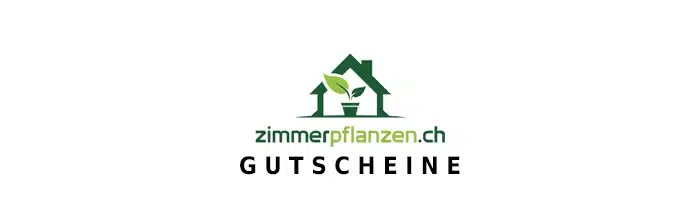 zimmerpflanzen Gutschein Logo Oben