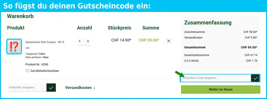 zimmerpflanzen Gutschein einfuegen und sparen blau